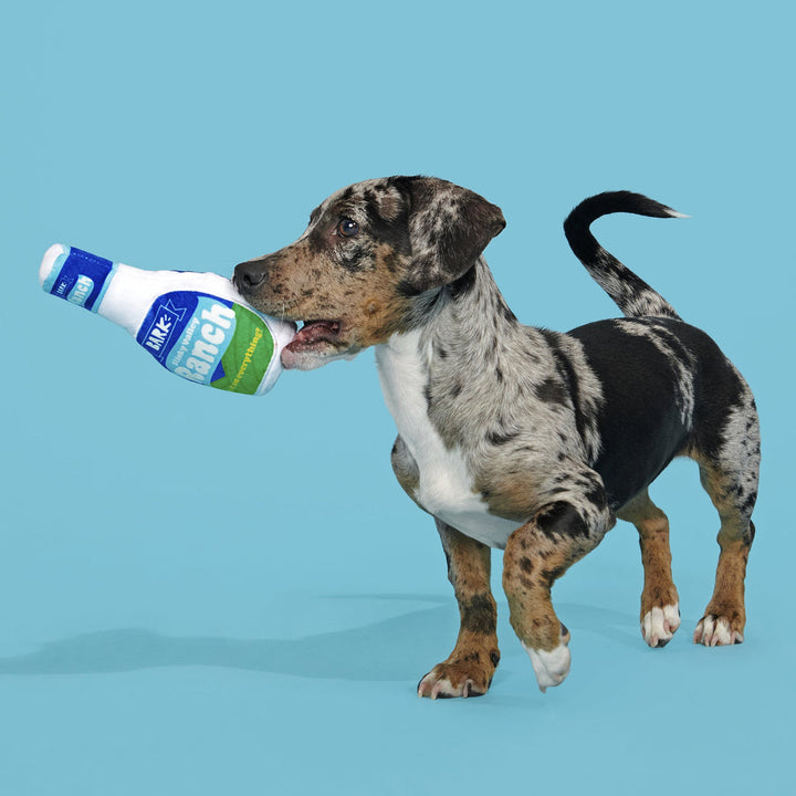 Stinky Valley Ranch Plush Tug Dog Toy