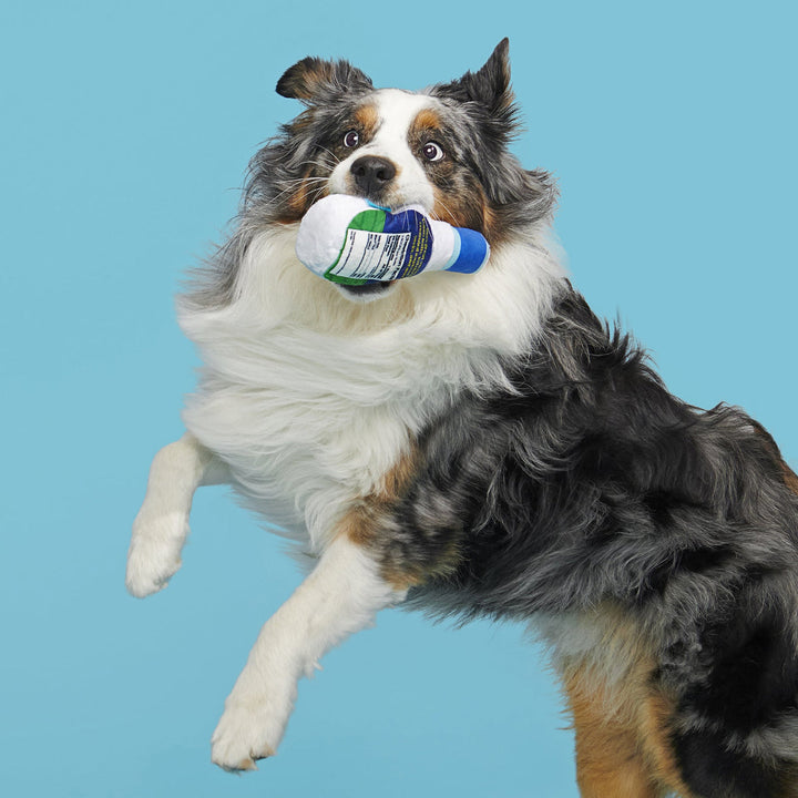 Stinky Valley Ranch Plush Tug Dog Toy