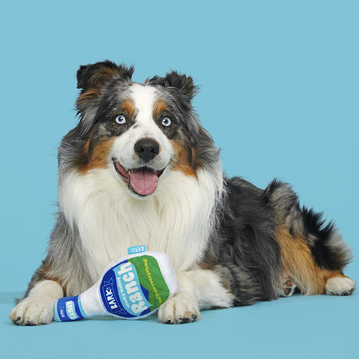 Stinky Valley Ranch Plush Tug Dog Toy