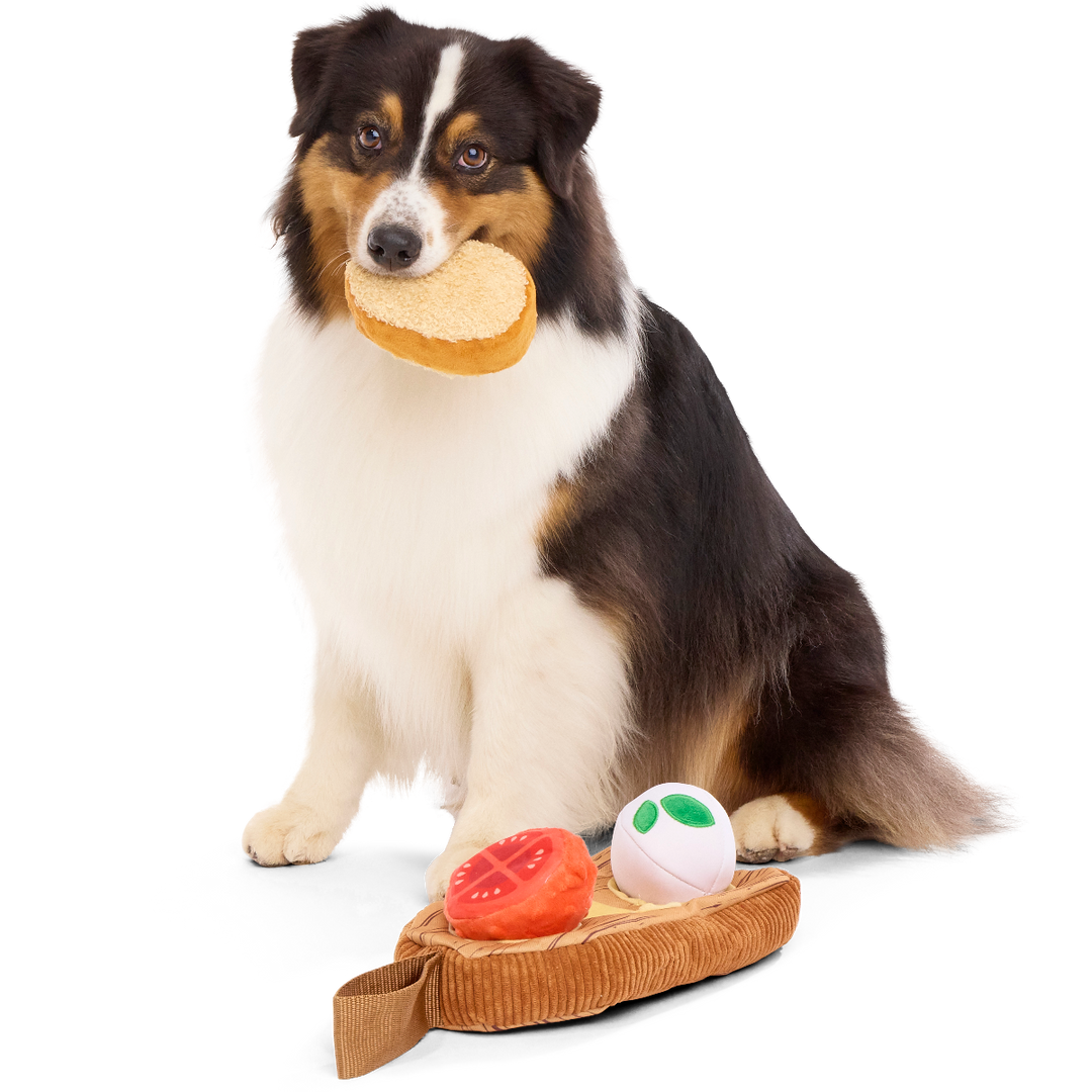 Antipawsto Board Plush Multi-Part + Enrichment Dog Toy