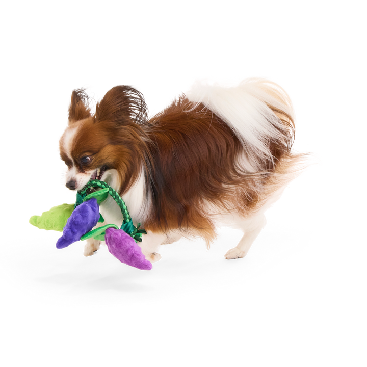 Chew The Grapevine Plush Tug Dog Toy