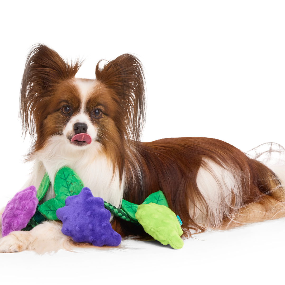 Chew The Grapevine Plush Tug Dog Toy