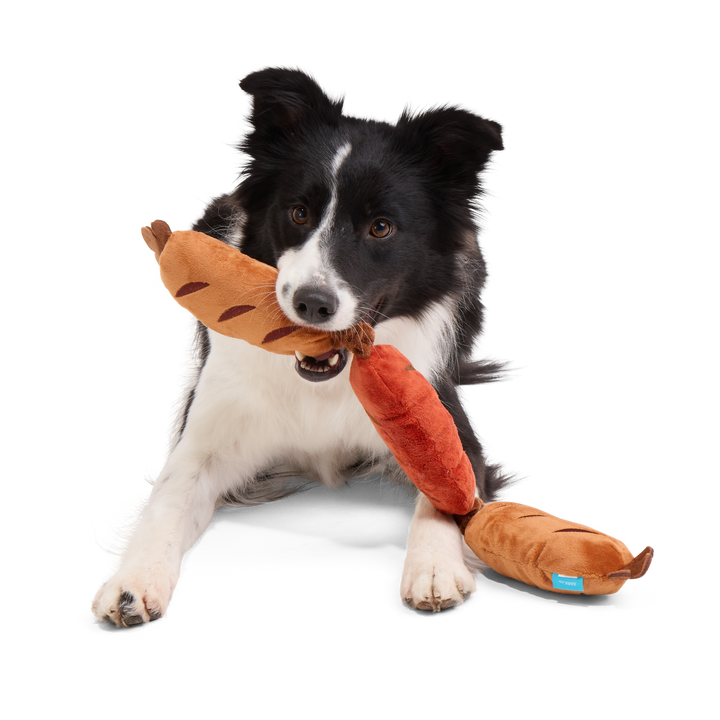 Lickin’ Links Plush Tug Dog Toy