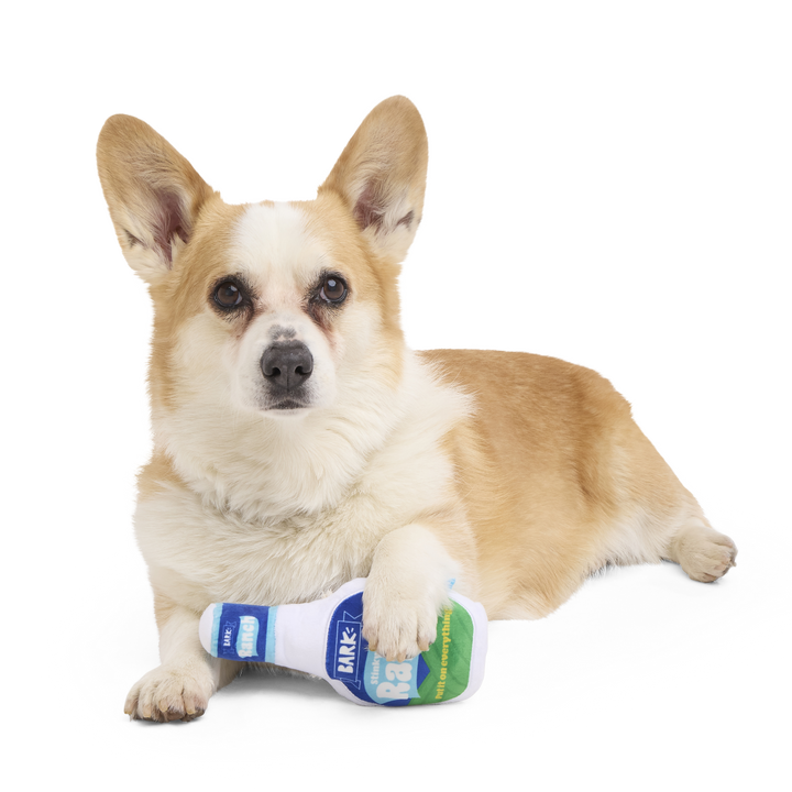 Stinky Valley Ranch Plush Tug Dog Toy