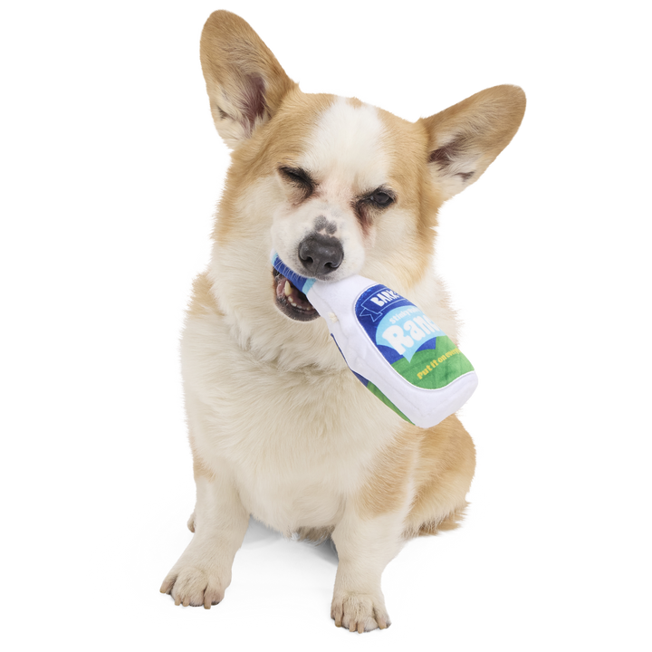 Stinky Valley Ranch Plush Tug Dog Toy