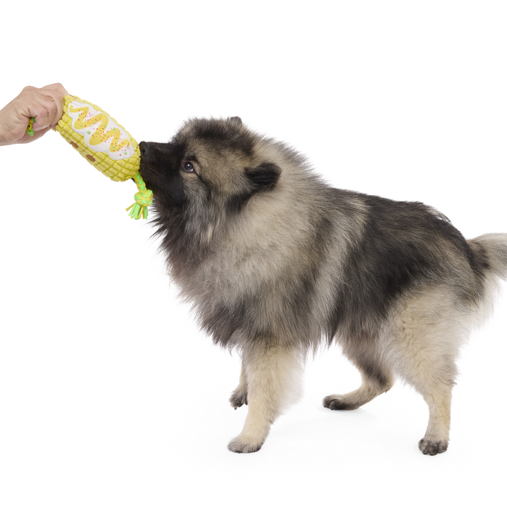 Corn on the Tug Plush Dog Toy