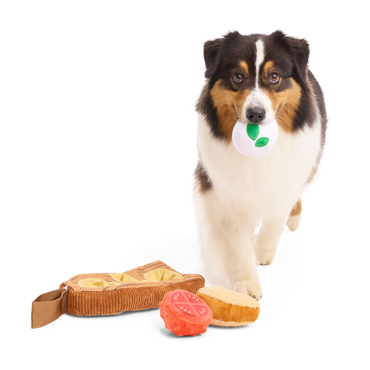 Antipawsto Board Plush Multi-Part + Enrichment Dog Toy
