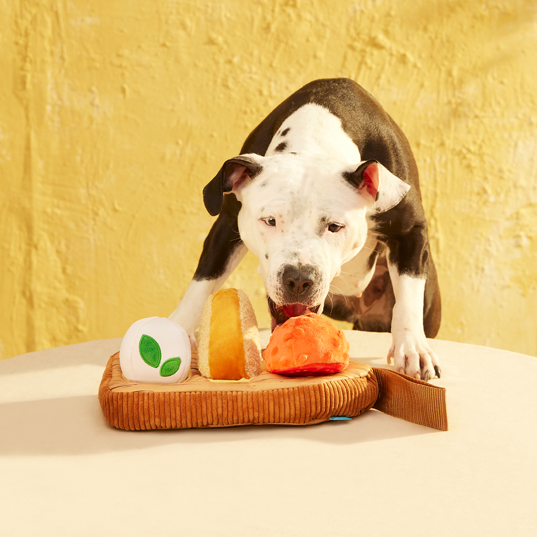 Antipawsto Board Plush Multi-Part + Enrichment Dog Toy