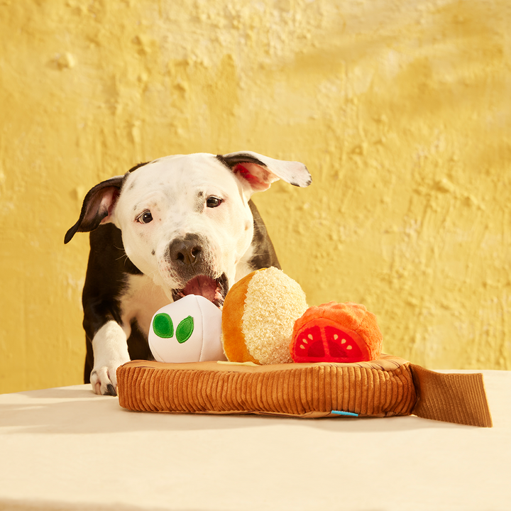 Antipawsto Board Plush Multi-Part + Enrichment Dog Toy