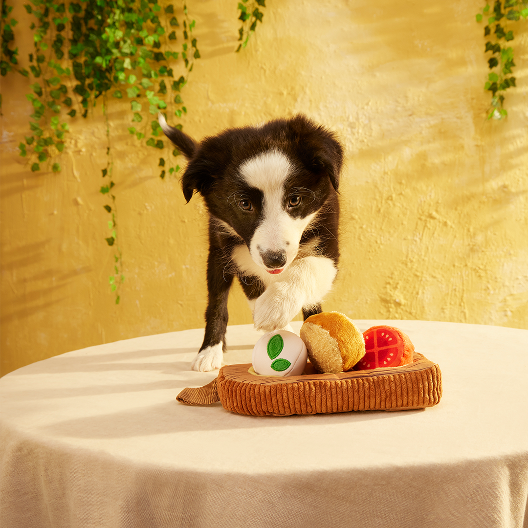 Antipawsto Board Plush Multi-Part + Enrichment Dog Toy