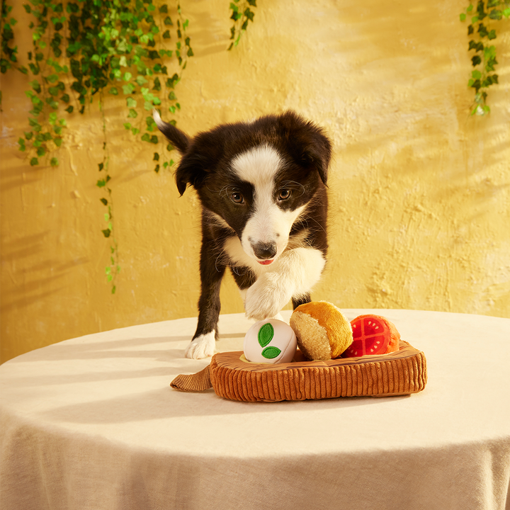 Antipawsto Board Plush Multi-Part + Enrichment Dog Toy