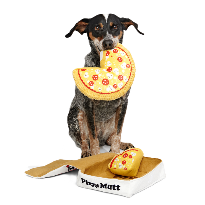 Pizza Pawty Plush Multi-Part + Enrichment Dog Toy