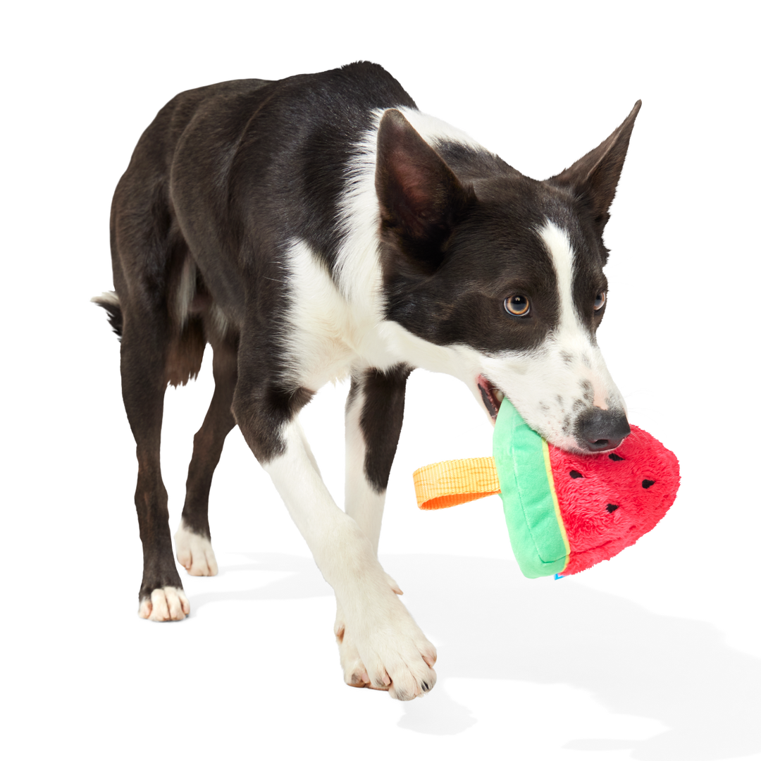 Slobbermelon Pop Plush Tug Dog Toy