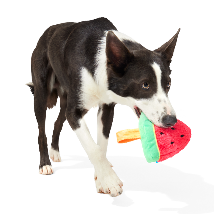 Slobbermelon Pop Plush Tug Dog Toy