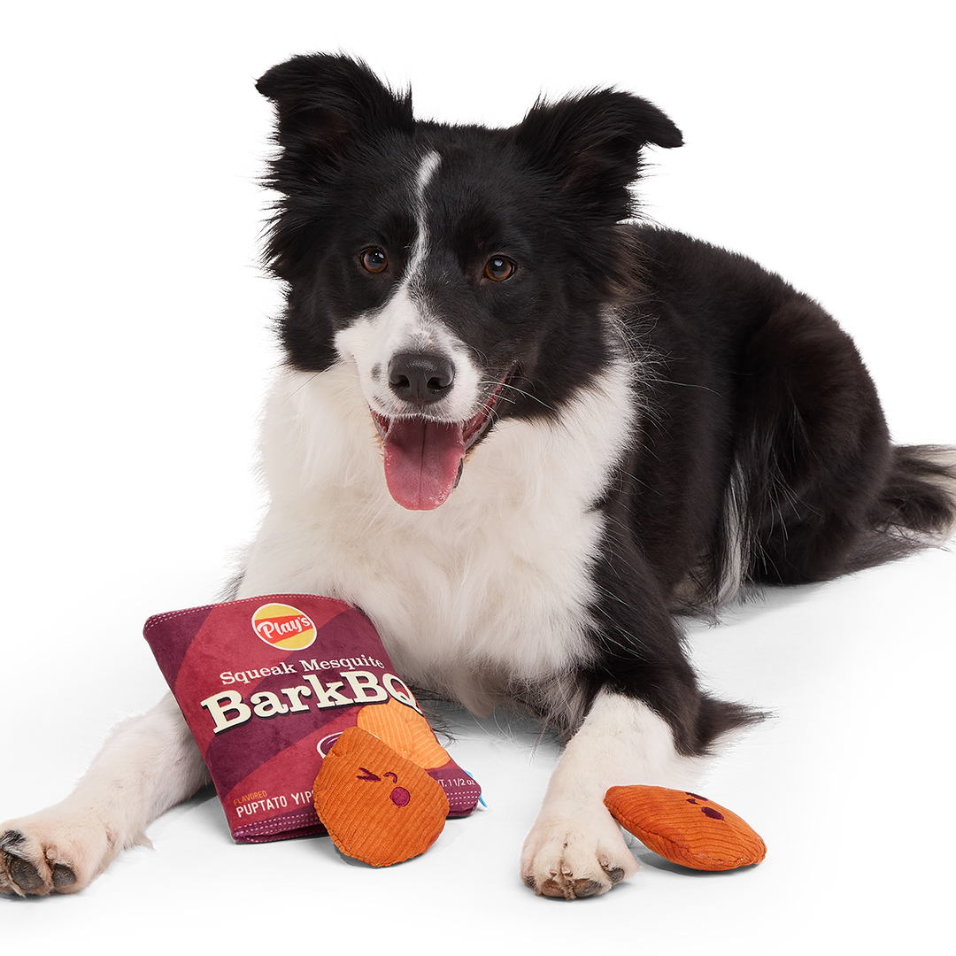BarkBQ Chips Plush Multi-Part + Enrichment Dog Toy