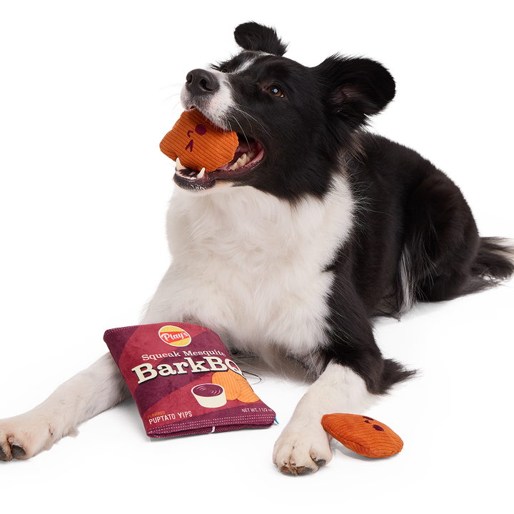 BarkBQ Chips Plush Multi-Part + Enrichment Dog Toy