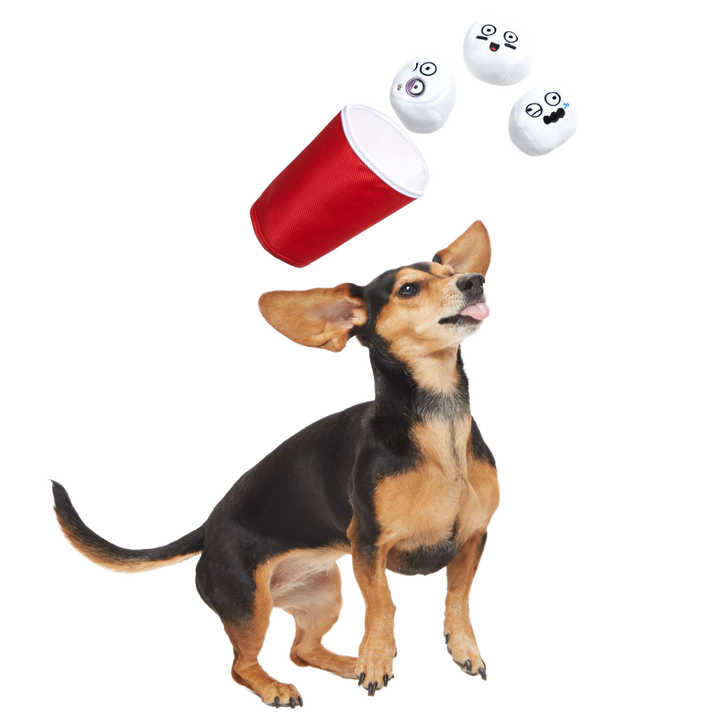 Bark Pong Cup Plush Multi-Part + Fetch Dog Toy