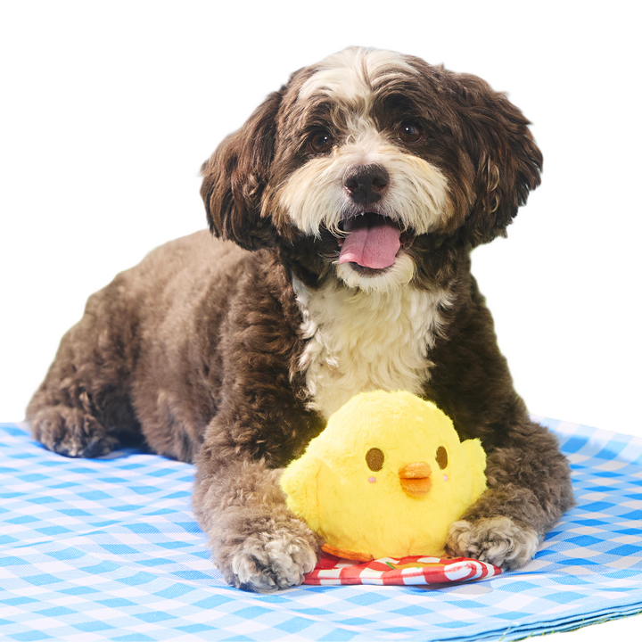 Chick-Nic Plush Tug Dog Toy