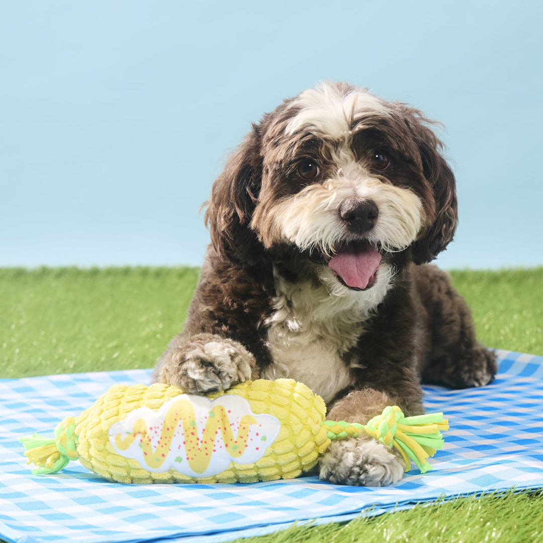 Corn on the Tug Plush Dog Toy
