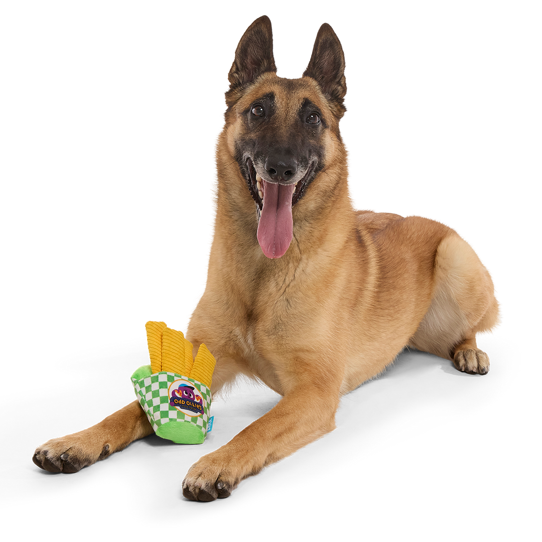 Crinkle Mutt Fries Plush Tug + Enrichment Dog Toy