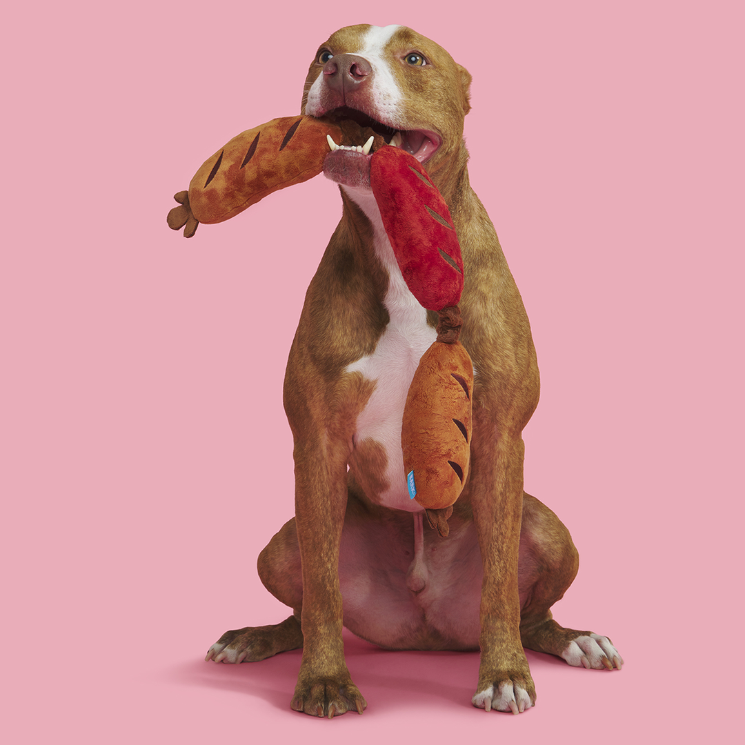 Lickin’ Links Plush Tug Dog Toy