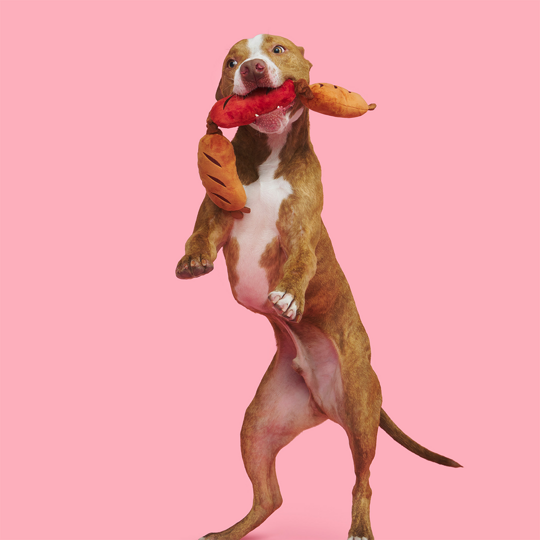 Lickin’ Links Plush Tug Dog Toy