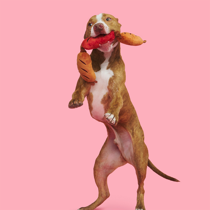 Lickin’ Links Plush Tug Dog Toy