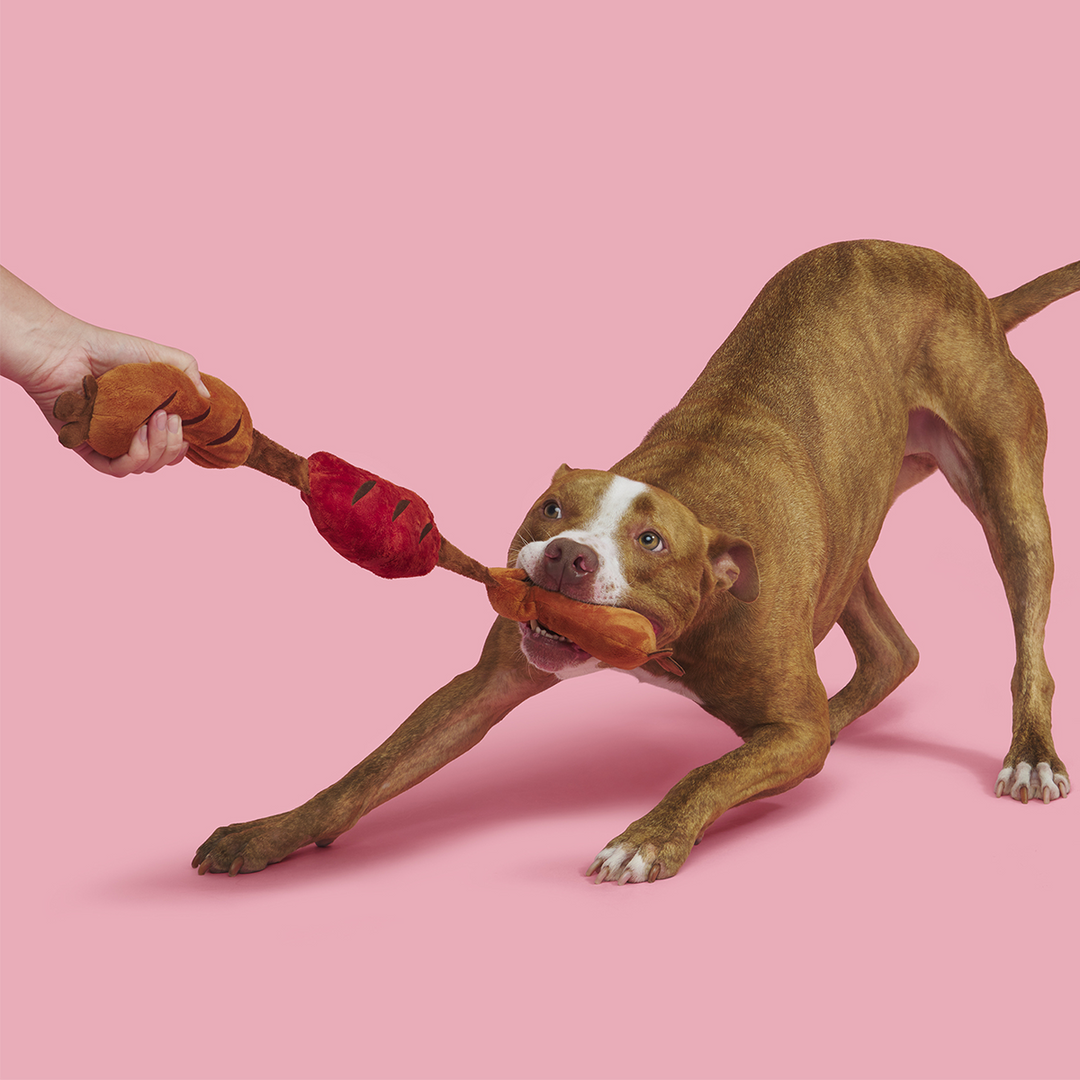 Lickin’ Links Plush Tug Dog Toy