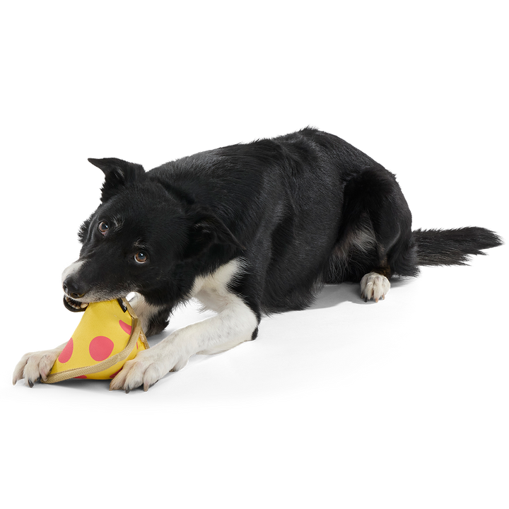 Lil Squeaker's Pizza Super Chewer Durable 2-in-1 Fetch Dog Toy