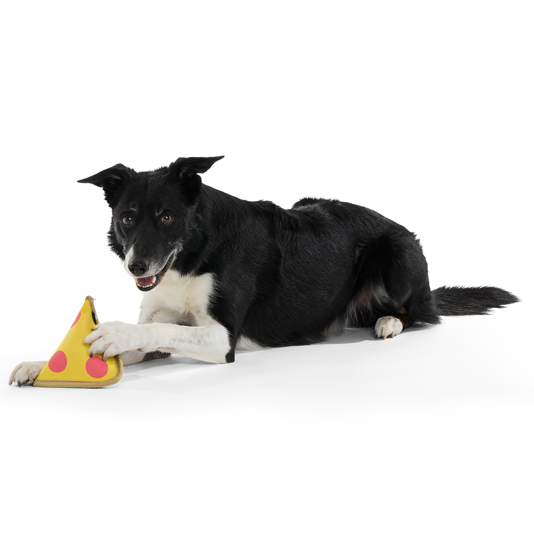 Lil Squeaker's Pizza Super Chewer Durable 2-in-1 Fetch Dog Toy