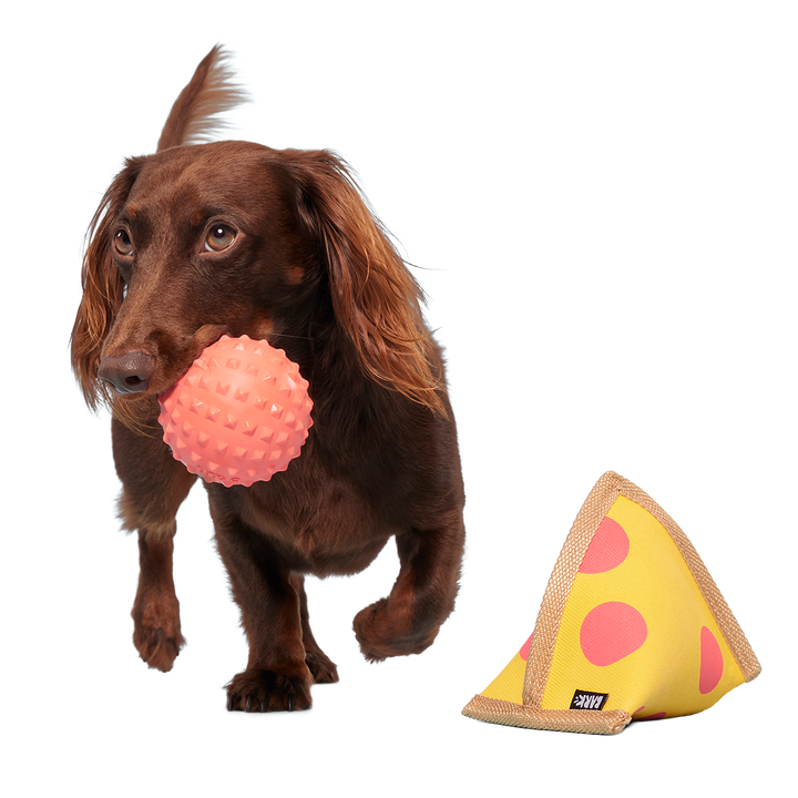 Lil Squeaker's Pizza Super Chewer Durable 2-in-1 Fetch Dog Toy