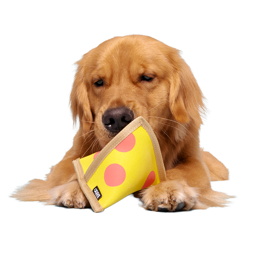Lil Squeaker's Pizza Super Chewer Durable 2-in-1 Fetch Dog Toy