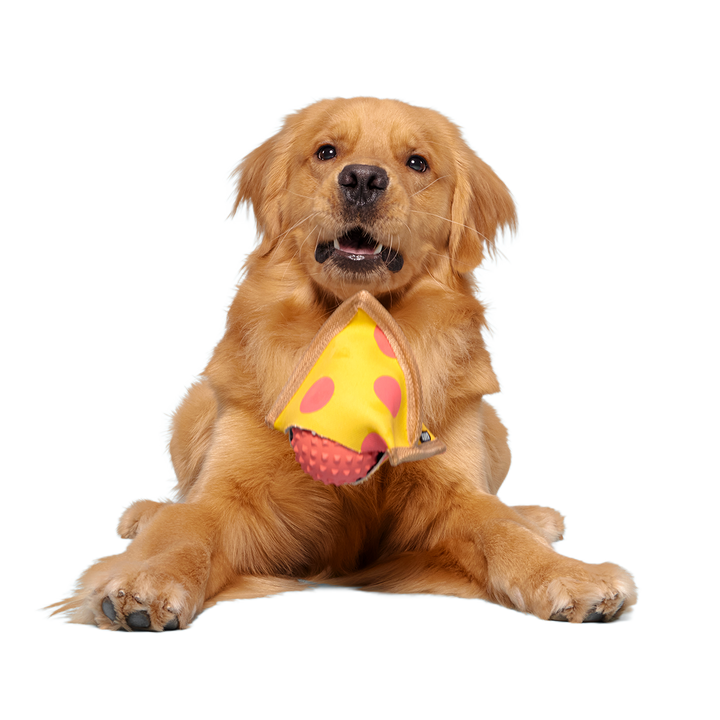 Lil Squeaker's Pizza Super Chewer Durable 2-in-1 Fetch Dog Toy