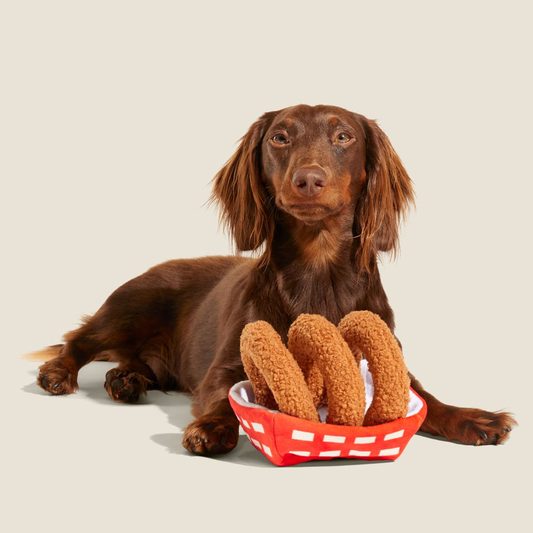 Onion Flings Plush Tug + Enrichment Dog Toy