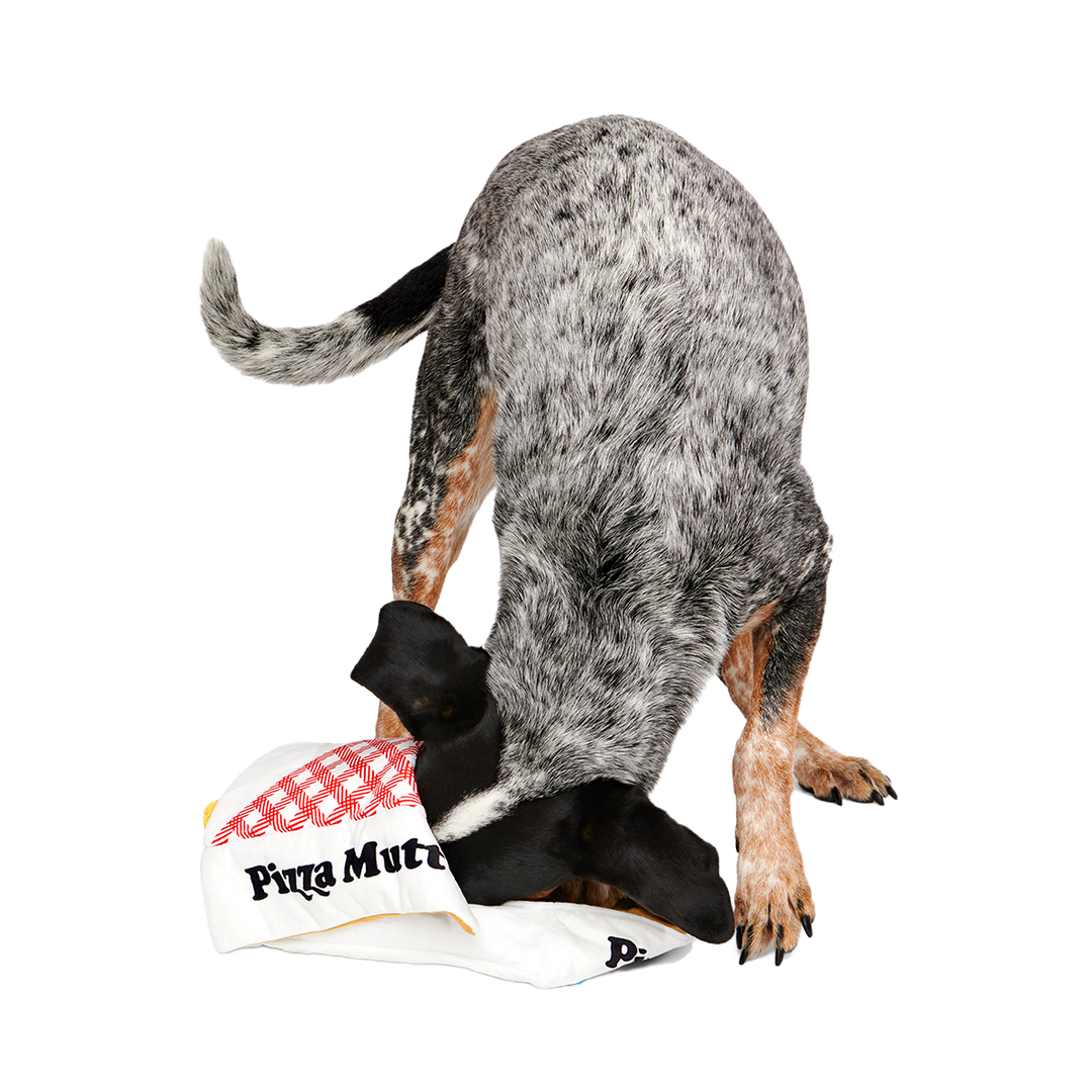 Pizza Pawty Plush Multi-Part + Enrichment Dog Toy