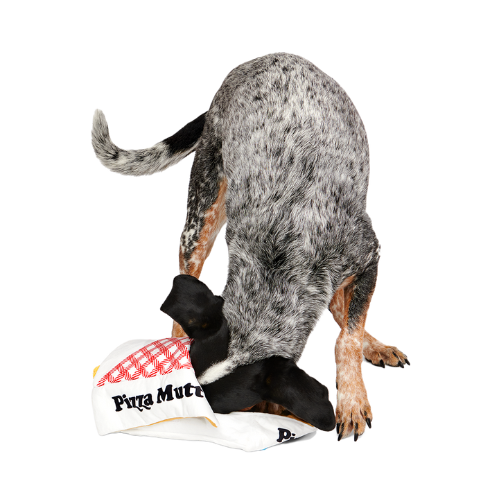 Pizza Pawty Plush Multi-Part + Enrichment Dog Toy