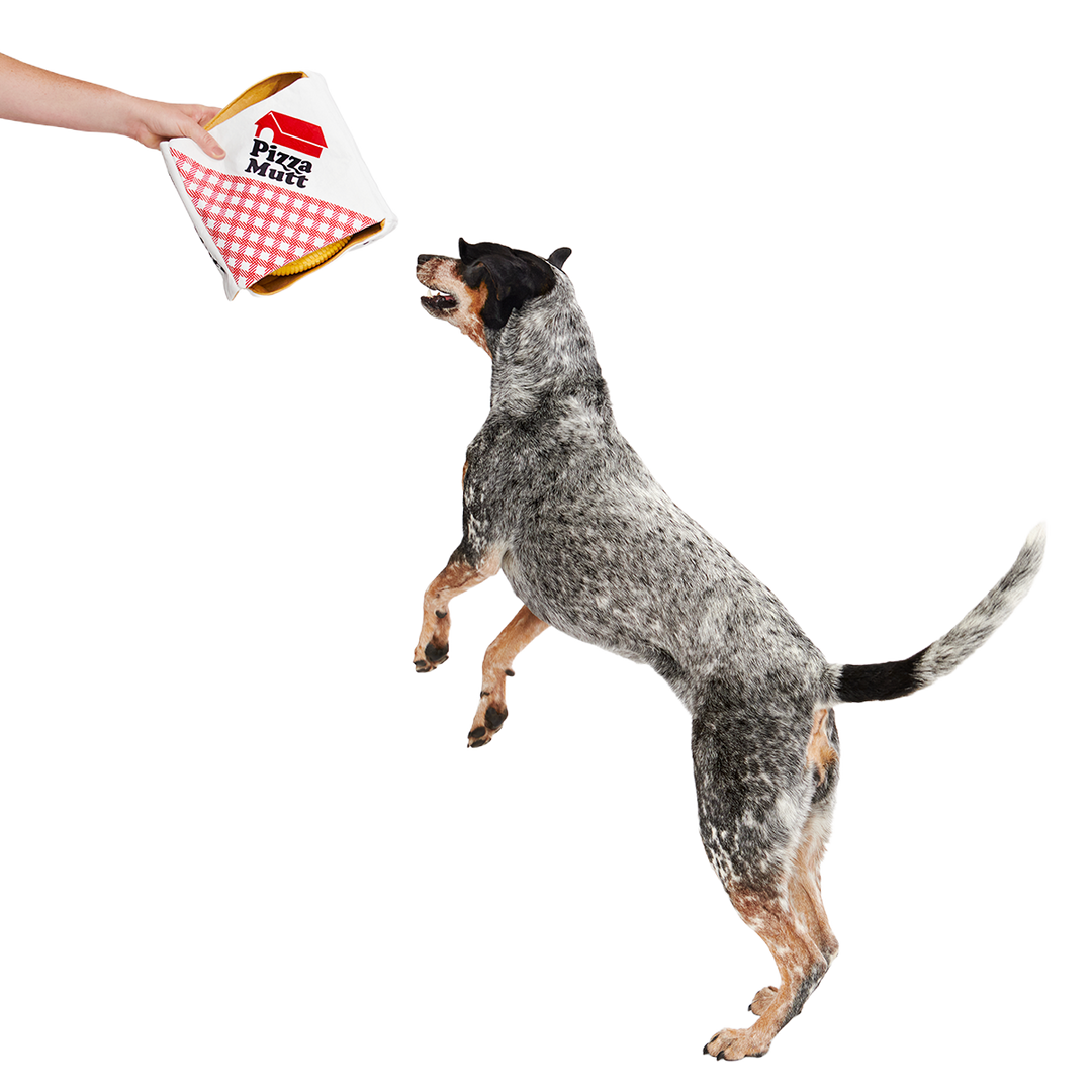 Pizza Pawty Plush Multi-Part + Enrichment Dog Toy