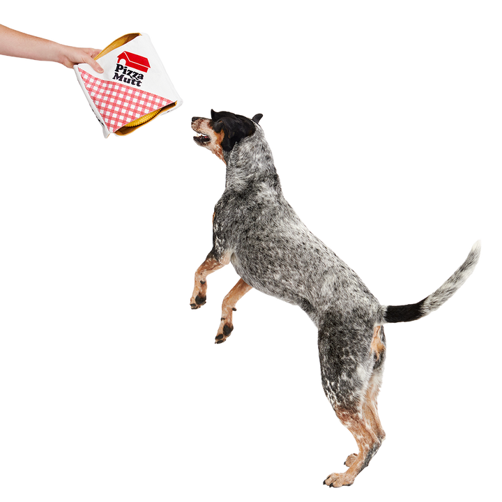 Pizza Pawty Plush Multi-Part + Enrichment Dog Toy