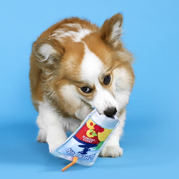 Juice Pooch Plush Tug Dog Toy