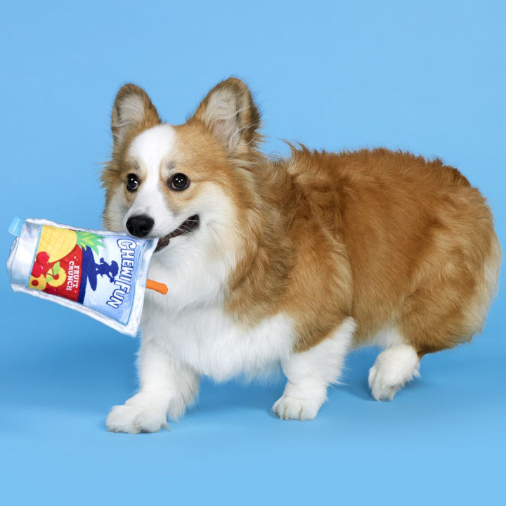 Juice Pooch Plush Tug Dog Toy
