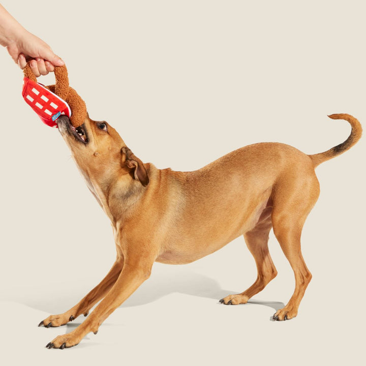 Onion Flings Plush Tug + Enrichment Dog Toy