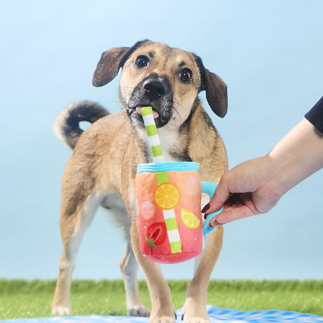Spiked Punch Plush Tug Dog Toy