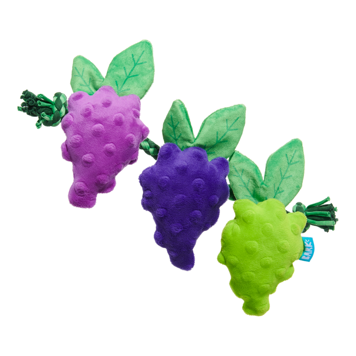 Chew The Grapevine Plush Tug Dog Toy