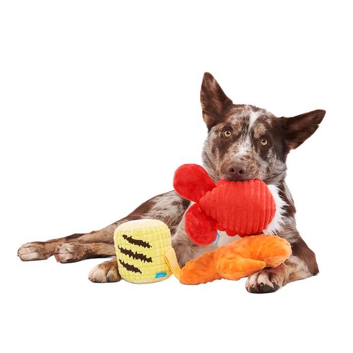 The Maine Event Plush Multi-Part Dog Toy