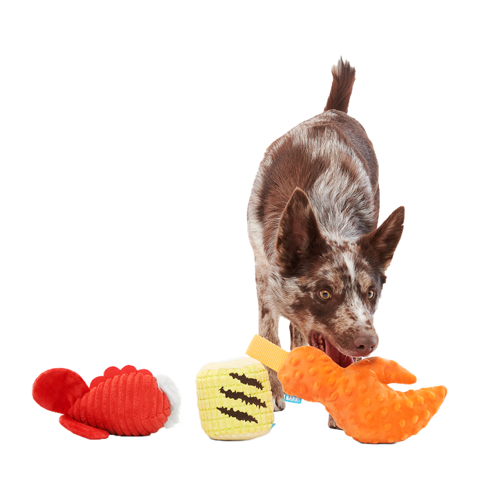 The Maine Event Plush Multi-Part Dog Toy