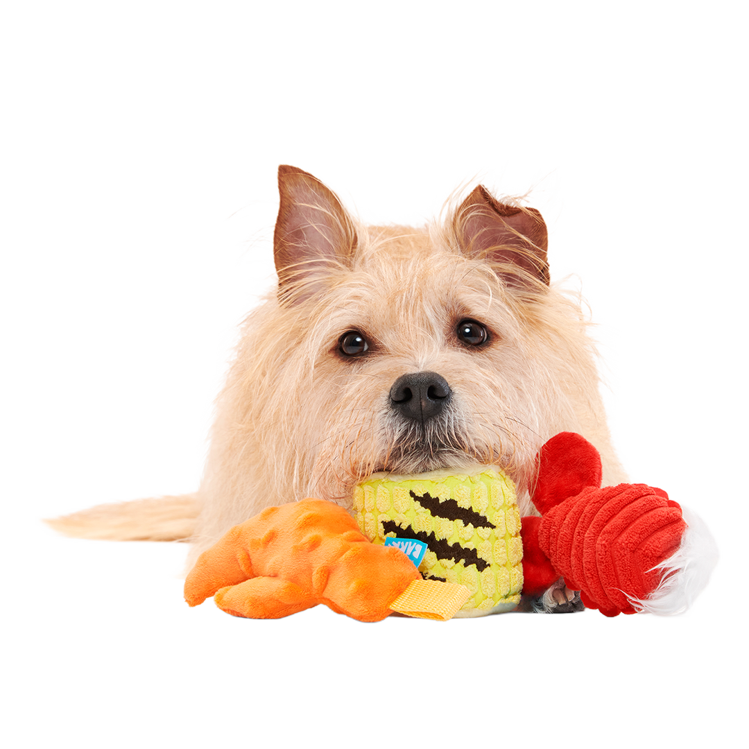 The Maine Event Plush Multi-Part Dog Toy