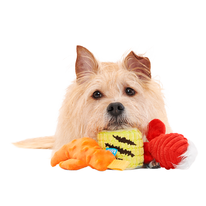 The Maine Event Plush Multi-Part Dog Toy