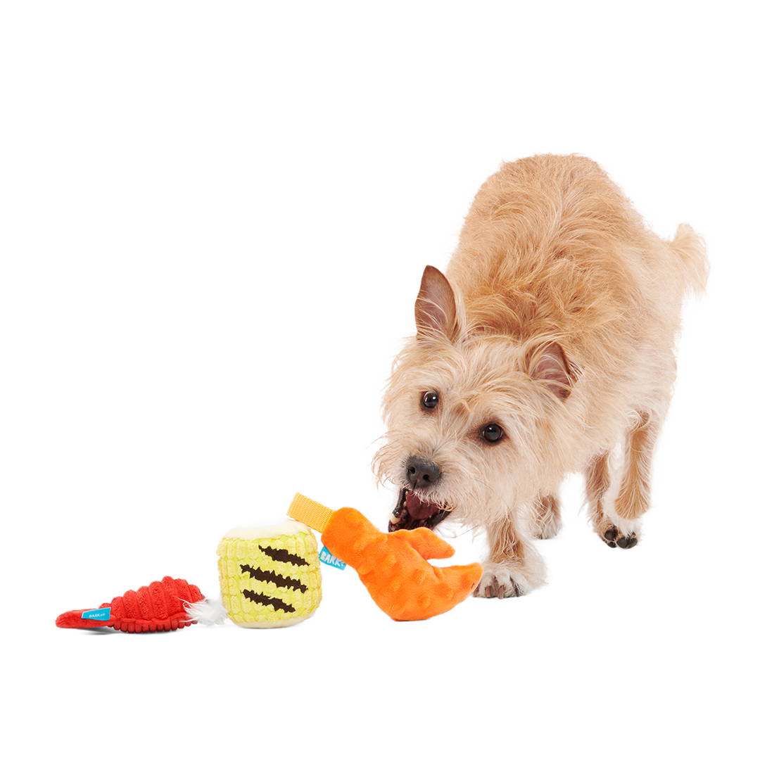 The Maine Event Plush Multi-Part Dog Toy