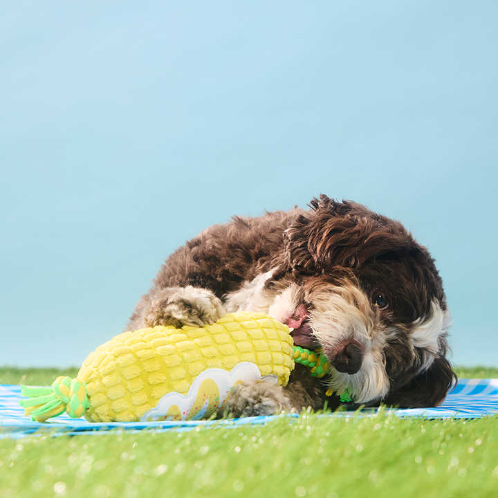 Corn on the Tug Plush Dog Toy
