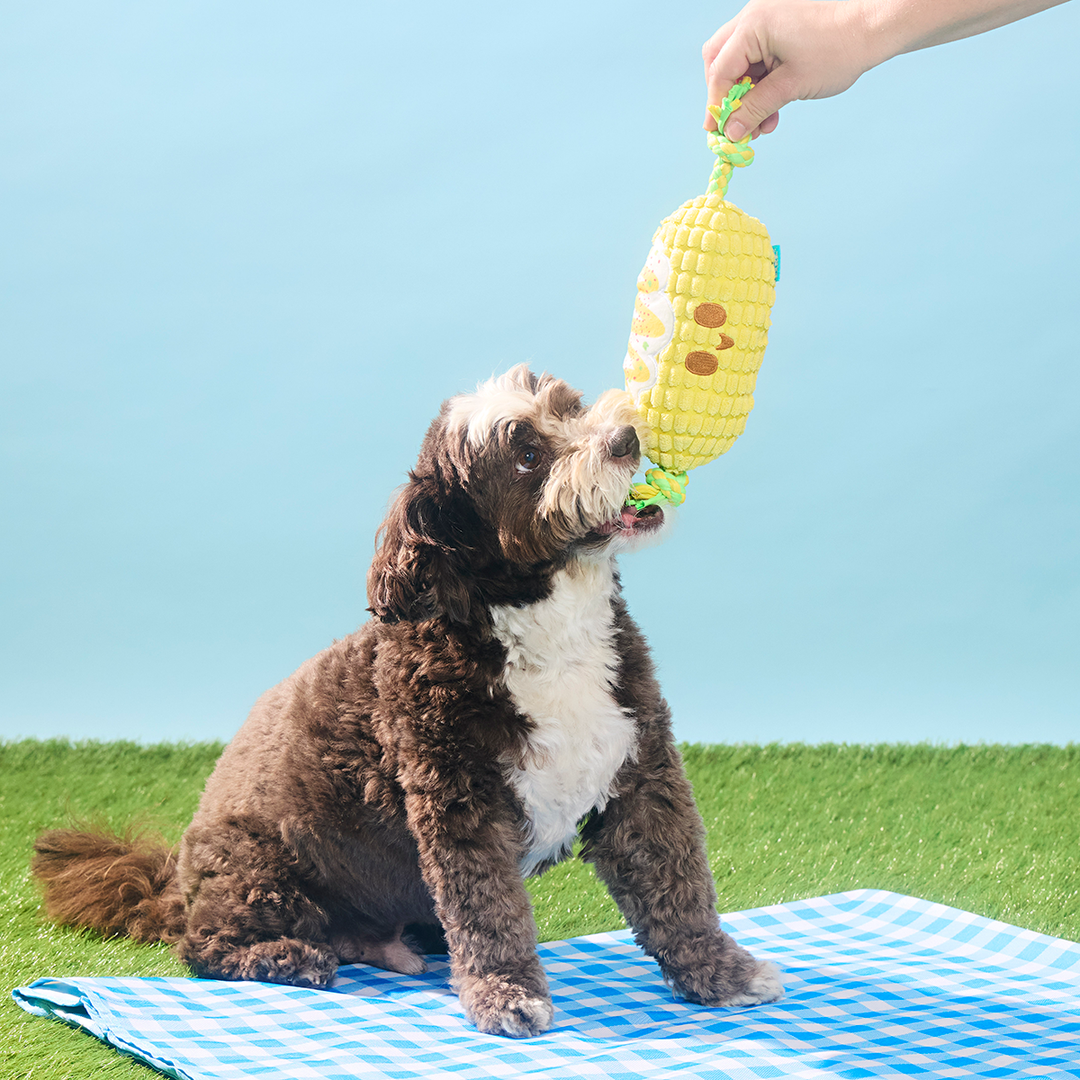 Corn on the Tug Plush Dog Toy